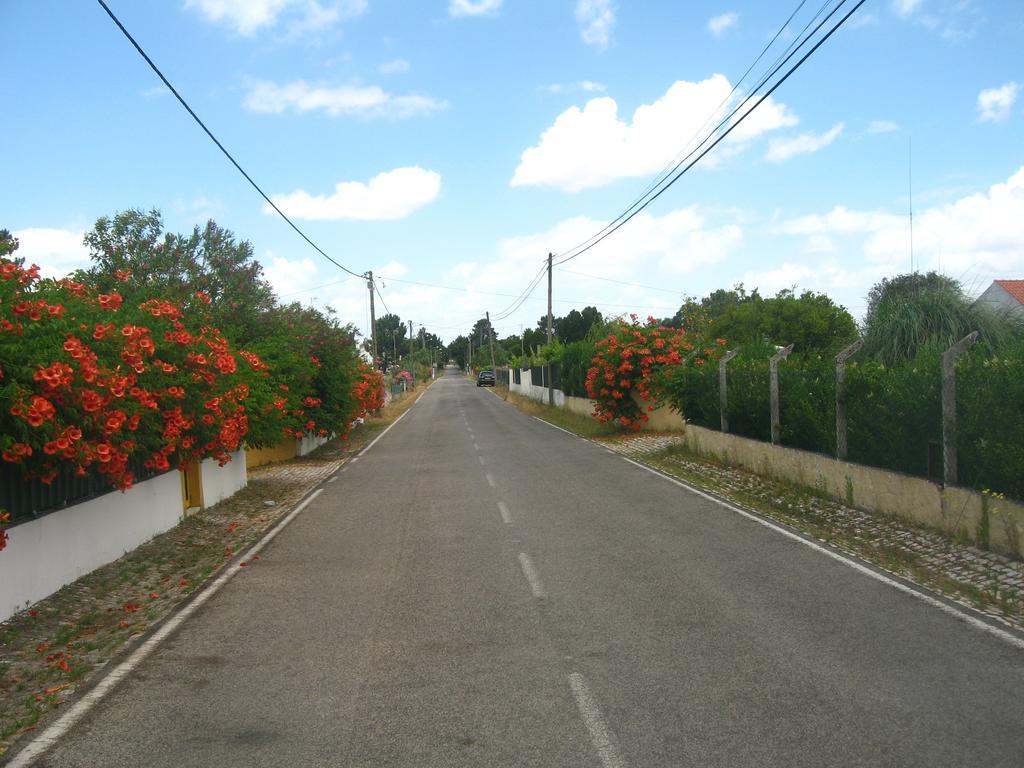 帕尔梅拉Casa Das Andorinhas住宿加早餐旅馆 外观 照片